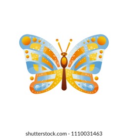 Beautiful blue and yellow butterfly insect vector Illustration on a white background