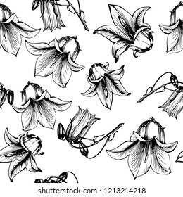 Beautiful bluebell flowers on white background. Campanula .Botanical illustration free hand drawing.Vector bellflower blossoms seamless pattern background.
