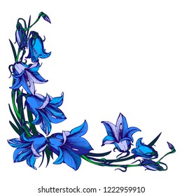 Bluebell Drawing Images Stock Photos Vectors Shutterstock