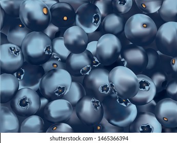 Beautiful blueberry Background. 3d fresh realistic berry. Texture blueberry close up. Border design. Summer fruits. Banner. Vector illustration.