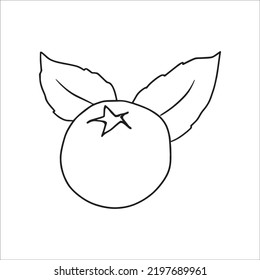 Beautiful Blueberry Line Art Images,outline Drawing,vector Art And Blueberry Illustrations Art