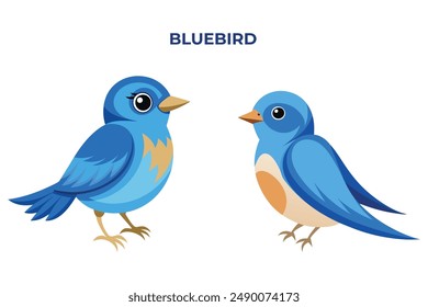 Hermoso pájaro azul sobre fondo blanco Ilustración vectorial