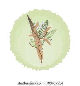 Beautiful boho bouquet with feathers and branches, blade of grass and wild berry sprig. Vector illustration isolated on white. Wild nature clip art. Ethnic card.