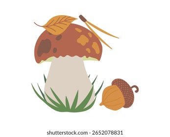 Bonito boletus edulis porcini cogumelo na floresta de outono na grama perto da bolota e folha de laranja caindo isolado no fundo branco. Ilustração plana vetorial desenhada à mão. Cogumelo de outono comestível