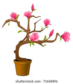 Beautiful bonsai with flowers
