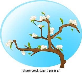 Beautiful bonsai with flowers