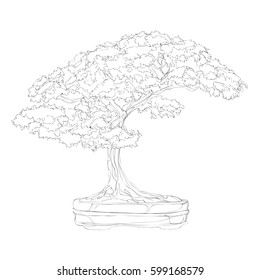 beautiful bonsai traditional line art continuous line drawing