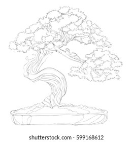 beautiful bonsai traditional line art continuous line drawing