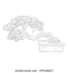 beautiful bonsai traditional line art continuous line drawing