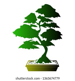 Beautiful bonsai tree vector

