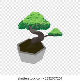 Beautiful bonsai tree vector spreads the leaves on transparency background, decorated tiny tree drawing illustration