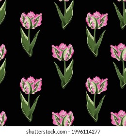 Beautiful botanical pattern with tulip flowers, seamless pattern. A beautiful print for printing on fabric, wallpaper, designer prints. Black background.