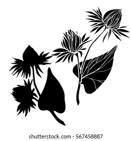 Beautiful botanical vector. Abstract illustration with flowers. 