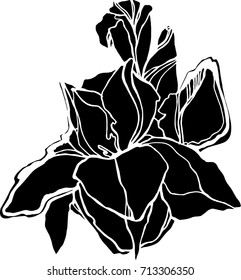 Beautiful botanical vector with flower iris . Black silhouettes on white background.