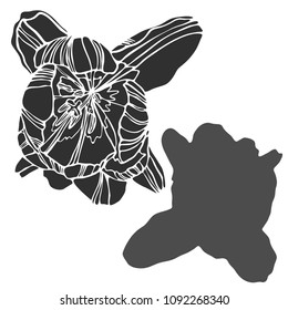 Beautiful botanical vector with flowers tulips. Black silhouettes on white background.