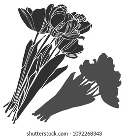 Beautiful botanical vector with flowers tulips. Black silhouettes on white background.