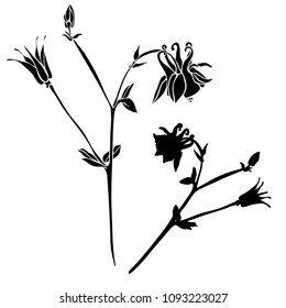 Beautiful botanical vector with flowers watershed. Black silhouettes on white background.