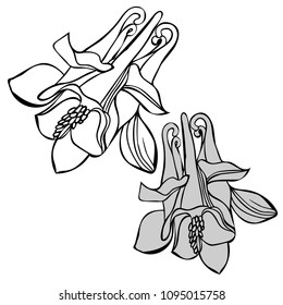 Beautiful botanical vector with flowers watershed. Black silhouettes on white background.