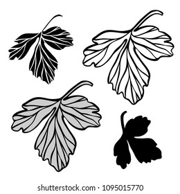 Beautiful botanical vector with flowers watershed. Black silhouettes on white background.