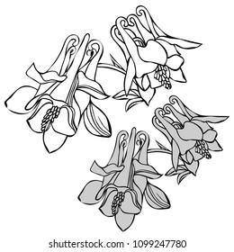 Beautiful botanical vector with flowers watershed. Black silhouettes on white background.
