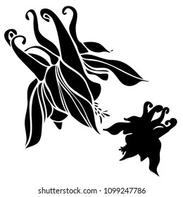 Beautiful botanical vector with flowers watershed. Black silhouettes on white background.
