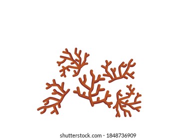 Beautiful botanical vector illustration with tropical corals. Isolated on white background