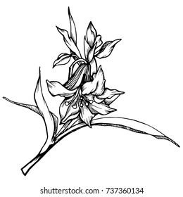 Beautiful botanical vector with stylized lilies. Black-and-white solution silhouettes.
The design is suitable for use in decoration, tattoo, textiles, invitations and promotional projects.