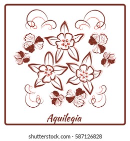 Beautiful bouquet of aquilegia in a frame on white background. Vector illustration