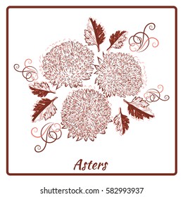 A beautiful bouquet of asters in a frame on white background. Vector illustration