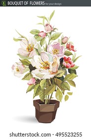 Beautiful bouquet of blossoming flower Apple trees. Spring flowers in brown pot