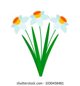 Beautiful bouquet of colorful spring daffodils. Flat design on a white background. Vector illustration of a hand drawn pattern graphic icons. concept of the holiday and the Mother's Day