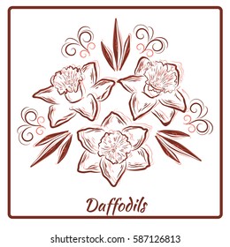 A beautiful bouquet of daffodils in a frame on white background. Vector illustration