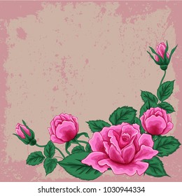 beautiful bouquet with five pink roses and leaves. Floral arrangement. Grunge background