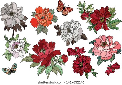 Beautiful bouquet of flowers of peony. Vector illustration. Beautiful realistic drawing, tattoo. Vintage paintings, postcard, background, wallpaper. Interior decoration. Gift for women - Vector