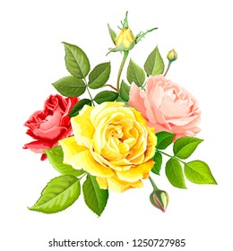 Beautiful bouquet flowers of red, gentle peach and yellow blooming roses with leaves and buds, isolated on a white background. Lovely floral design element. Vector illustration in watercolor style