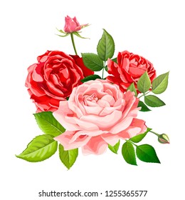 Beautiful bouquet flowers of red and scarlet blooming roses with leaves and buds, isolated on a white background. Lovely floral design element. Vector illustration in watercolor style