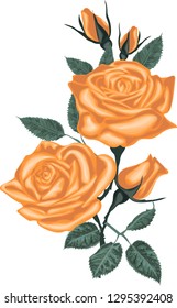 Beautiful bouquet with golden roses and leaves. Vector rose isolated on white.