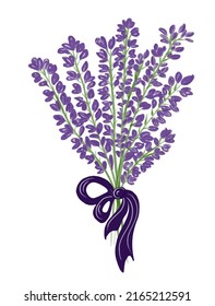 Beautiful bouquet of lavender flowers with purple bow. Provence and France. Romantic fresh design for the wedding. Vetor, Illustration.