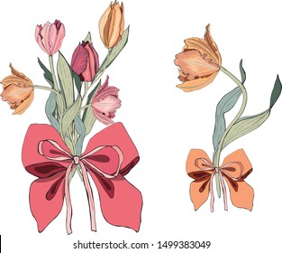 Beautiful bouquet of  multicolored tulips flat design on white background. Spring flowers with green leaves decorated bow.  Set of tulips for your design. greeting cards, announcements, posters.