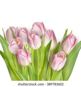 Beautiful bouquet of pink, isolated on white. EPS 10 vector file included