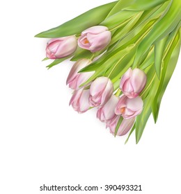 Beautiful bouquet of pink tulips. EPS 10 vector file included