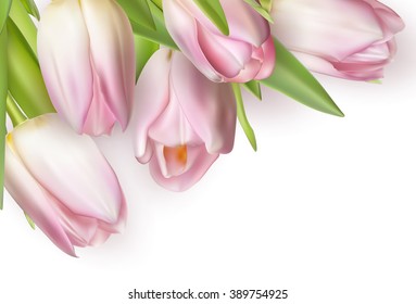 Beautiful bouquet of pink tulips, isolated on white. EPS 10 vector file included