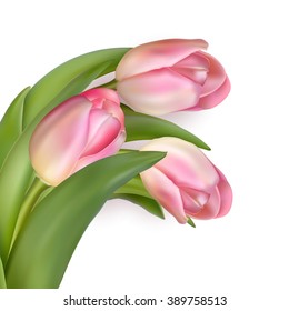 Beautiful bouquet of pink tulips isolated on white. EPS 10 vector file included