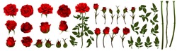 Gyönyörű Csokor Vörös Rózsákkal és Levelekkel. Virágos Elrendezés.design üdvözlőlap és Meghívó Az Esküvő, Születésnap, Valentin-nap, Anyák Napja és Egyéb ünnep.