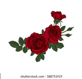 Red rose .ai Royalty Free Stock SVG Vector