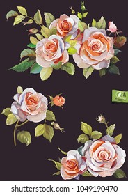Beautiful Bouquet of roses. Hand drawn watercolor flowers. Isolated on black background