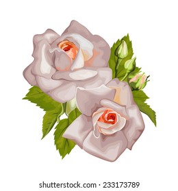 Beautiful bouquet of roses isolated on white. Perfect for background greeting cards and invitations of the wedding, birthday, Valentine's Day, Mother's Day.