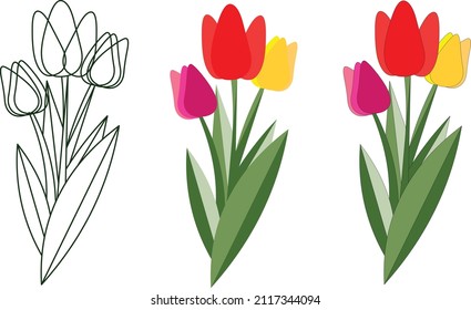 Beautiful bouquet of three multicolored flat design tulips isolated on white background. Spring flowers with long green leaves. Vector illustration, graphic icon.