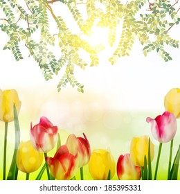 Beautiful bouquet of tulips. And also includes EPS 10 vector