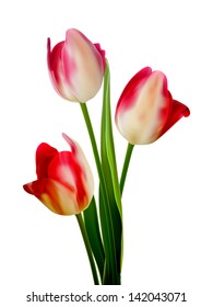Beautiful bouquet of tulips on a white background. And also includes EPS 10 vector
